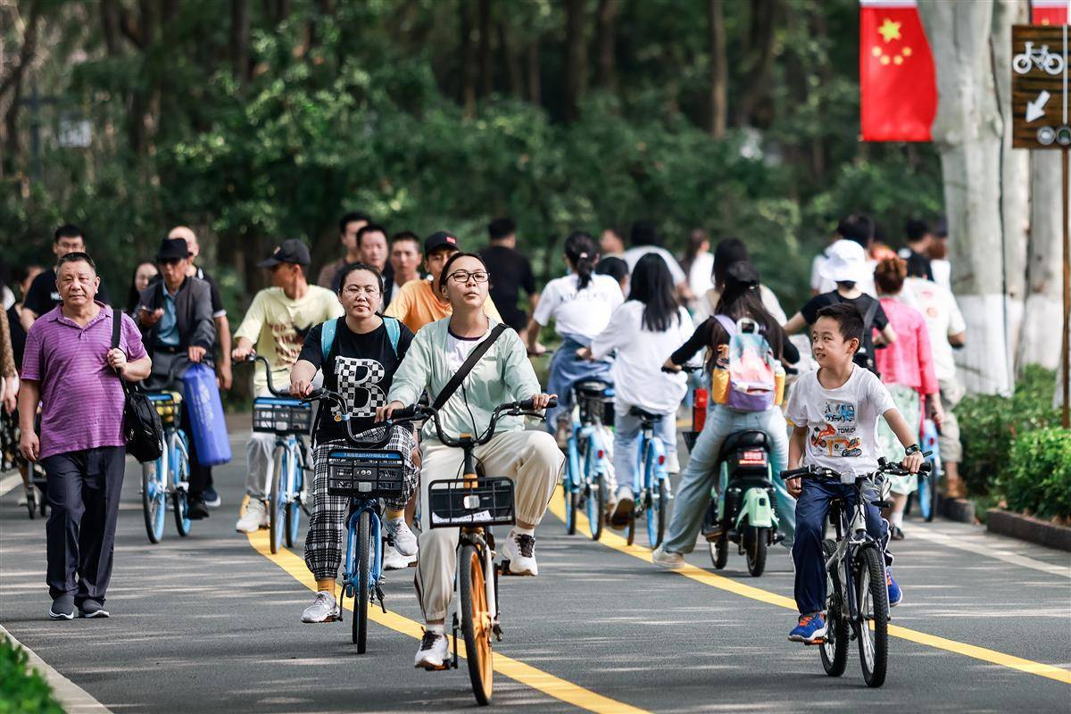 博狗在线官网